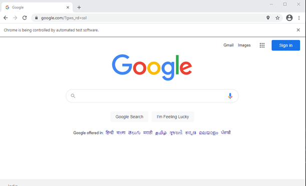 Launching Google after running the Selenium scripts