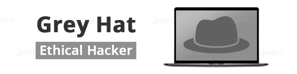 Grey hat ethical hacker