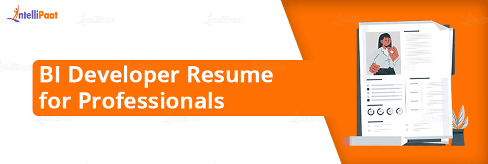 BI Developer Resume Tips for Professionals