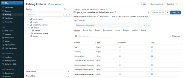 Preview the information schema of the dataset